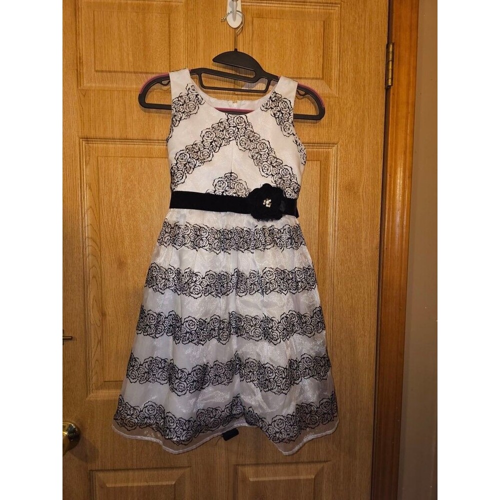 Princess Faith Black Rose Velvet Flocking Organza Holiday Dress - Girls 12